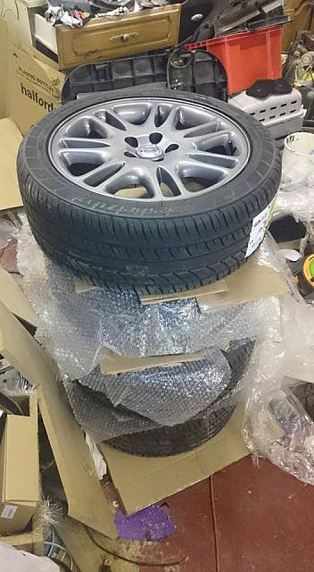 11011112 839949709403433 1408220957414590184 n