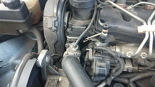 1780688 736668603064878 423452500689140274 n