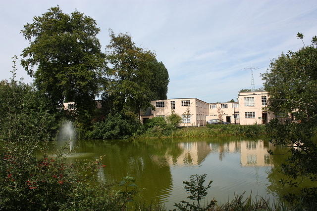 IMG 1545